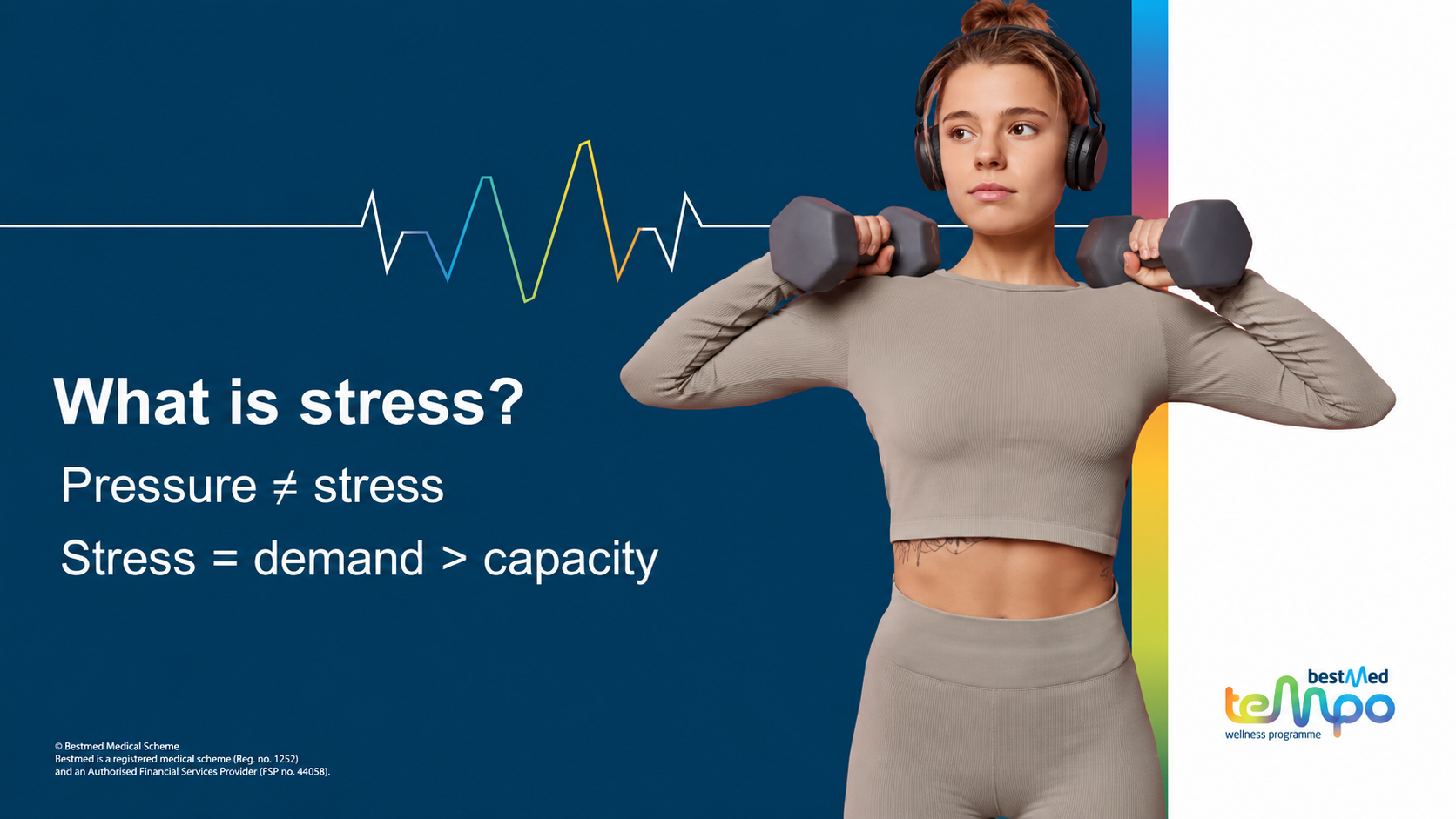 what is stress webinar