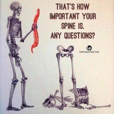 That's How Important Your Spine Is.