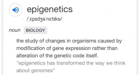 epigenetic