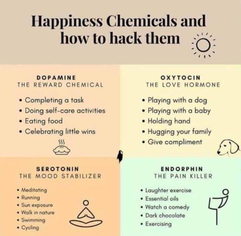 Happyness Chemicals