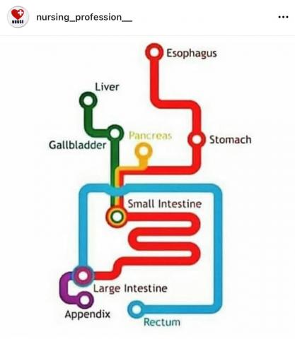 Instagram Diagram